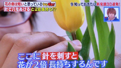 花を長持ちさせる方法 それダメ はへほ