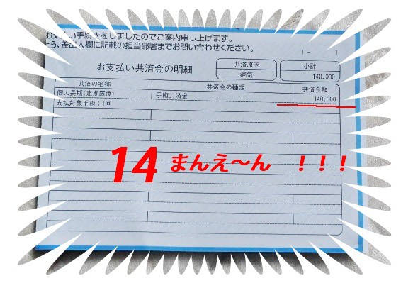 白内障 手術 保険