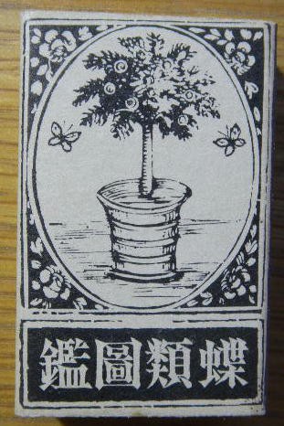 41) 蝶類図鑑 : liddell coffee house リデルコーヒーハウス