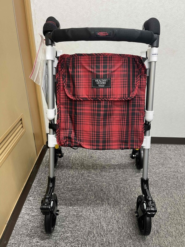 ヘルシーワンレジュール ペイズリー