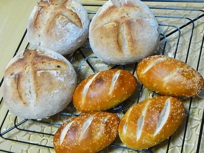 グラハム入りカンパーニュ コッペパン型プレッツェル ぴょんの Pop Life