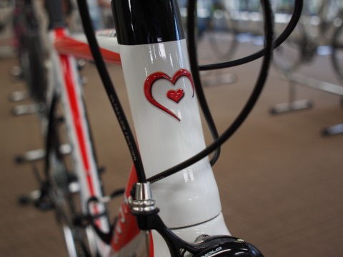 生粋のイタリアレーシングアルミモデル Team SCANDIUM DeRosa 2015 ...