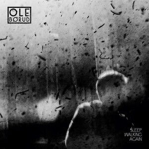 □ SLEEPWALKING AGAIN ／ OLE BORUD : Light Mellow on the web