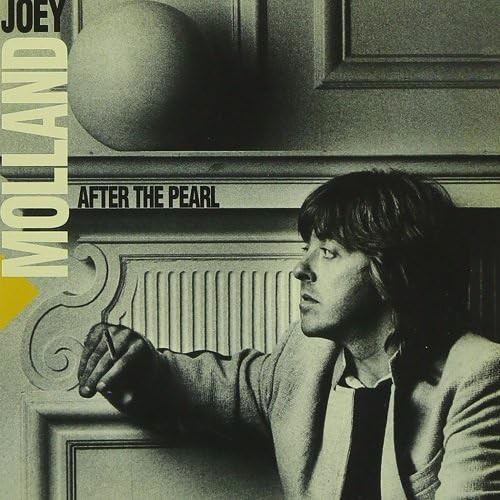 JOEY MOLLAND,新品未開封,ジョーイ・モランド,BADFINGER □ JOEY MOLLAND of ex-BADFINGER passed away : Light Mellow on the