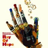■山下達郎 Ray Of Hope 一度針を落としました □ RAY OF HOPE ／ 山下達郎 : Light Mellow on the web ～ turntable