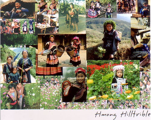 グラントリノ とモン族の悲劇 ソーラーサーキット建築日記 太陽光発電日記