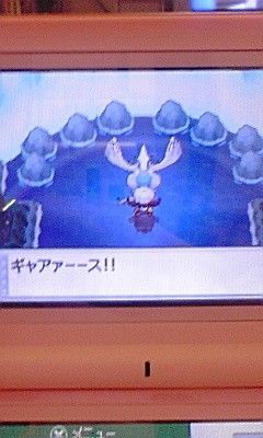 ルギア ｌuv ａngel