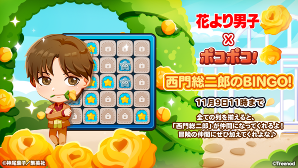 ポコポコ W 様専用 Www Hedata Rs