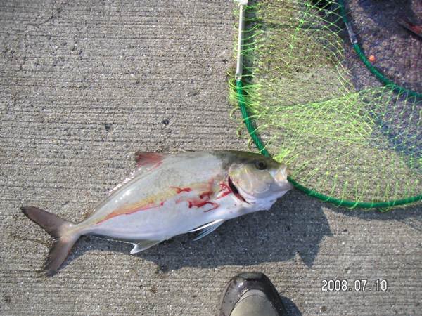 小呂島へ波止泊まり釣行 Houkouの彷徨人生