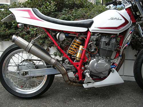 HONDA FTR223フルカスタム OVERカーボンマフラー デュアルヘッド