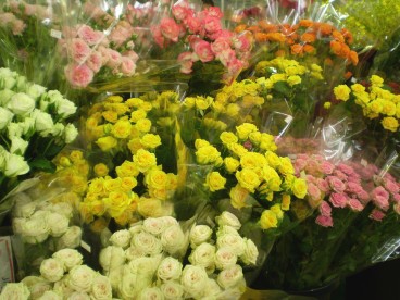 糟屋郡久山町の 久山植木 ｌｉｔｔｌｅ ｈａｐｐｙ パーチメントクラフト パピエジョリ