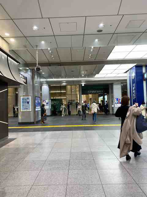 東京駅からトイ ストーリーホテルに荷物を送りタクシーで行く ひとりディズニー 大人の時間