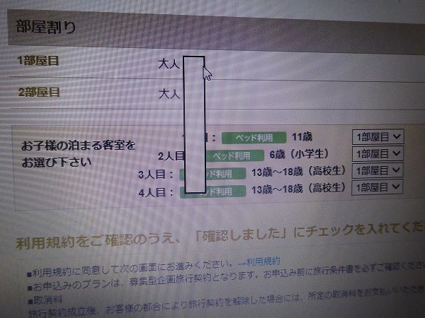 大人1人 子供4人でバケーションパッケージを予約する時 Little Women ディズニーへ行く 大人1人 子供4人でバケーションパッケージを予約する時 Little Women ディズニーへ行く