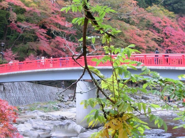 香嵐渓 犬山城 犬山寂光院の紅葉 日月の日記 Hitsuki S Diary