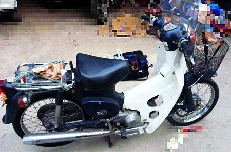 カブぬし 犬小屋暮らし