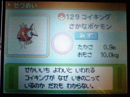 広島カープ コイキングとコラボｗｗｗｗ なんj まとめては いかんのか