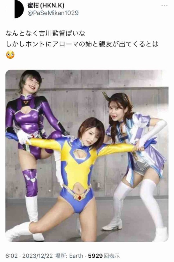 ヒロインピンチオムニバス 太陽の戦士レオーナV 大川成美 DVD