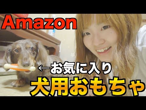 犬猫動画 Amazonで海外の犬用おもちゃおもしろそうなのいろいろ買ったので遊んでみた 長さ 13 18 犬猫おもしろ動画まとめ