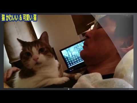 犬猫動画 かわいい目覚まし時計 猫 犬の飼い主を起こし方が超かわいい 1 長さ 14 09 犬猫おもしろ動画まとめ