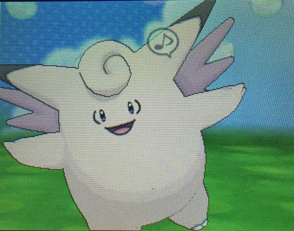 小さくなるピクシーの調整と対策 ポケモンoras 害悪ポケモン殲滅日記