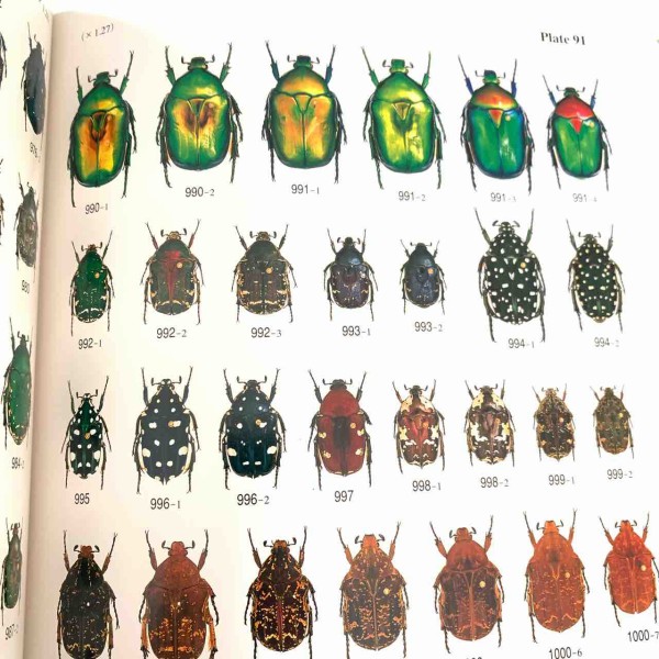 1997年のむし社激レア図鑑「世界のハナムグリ大図鑑」 : GOKUSAISHIKI