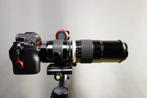 Nikon ニコン Ai-s Micro - NIKKOR 105mm F4 」 の最大撮影倍率を 1/2