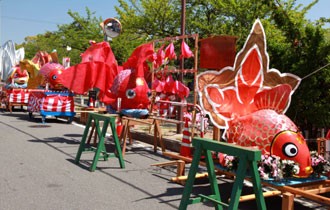 金魚まつり デザイナーだるまの七転八倒