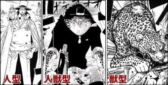 ワンピース オニ丸 狐 ヒトヒトの実なのになぜチョッパーのように毛深い人型にならない アニメ ゲーム 最速情報 ドンドン