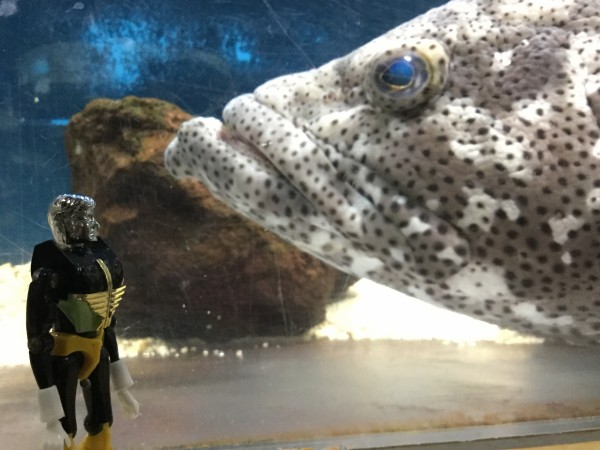 ミクロマン M154 エバンス フィギュア 復刻版ミクロマン ミクロマンコマンド1号 M154 エバンス : 爆裂