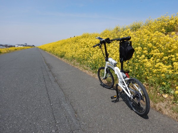 東京から高崎までサイクリングしてきた 9割が自転車道 孤独のソロボッチ