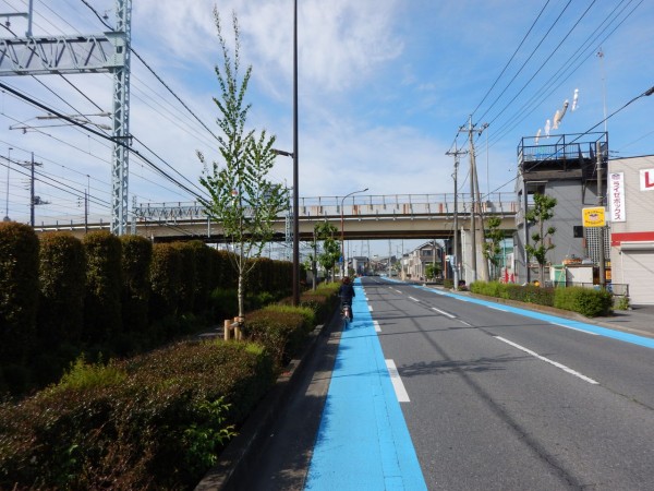 日本橋から宇都宮までサイクリングをしてきた 今度こそ国道4号走破 孤独のソロボッチ