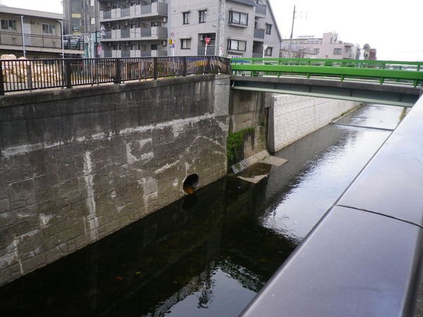 暗渠ハンター 呑川・久が原支流は図書館敷地を駆け抜ける : 毎日