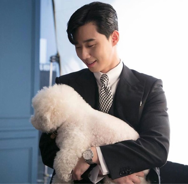 インスタ パクソジュン 愛犬シンバ 家族写真 Love Korea