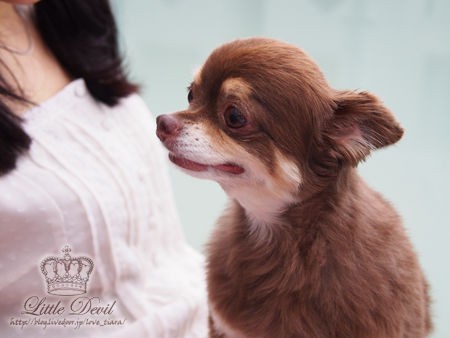 ジョージ 駒沢 Little Devil