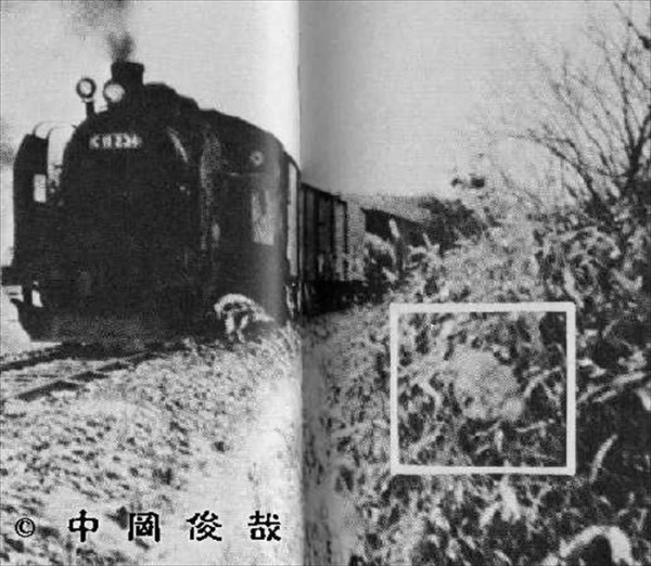 意味がわかると よく見ると怖い画像 90枚 なんでも