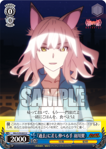 ヴァイスシュヴァルツ 虎に睨まれた少女　羽川翼　SP サイン ヴァイスシュヴァルツ 化物語 猫に魅せられた少女 羽川翼 SP
