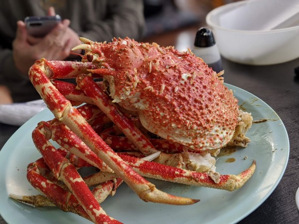 年もタカアシガニを食べてきました まいにちラブライブ