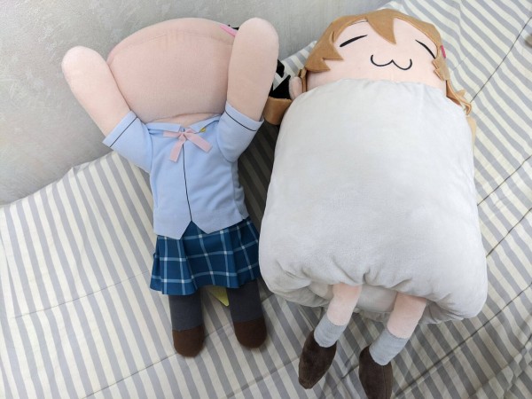 虹ヶ咲5thライブグッズが届きました！てるてる彼方ちゃん可愛い