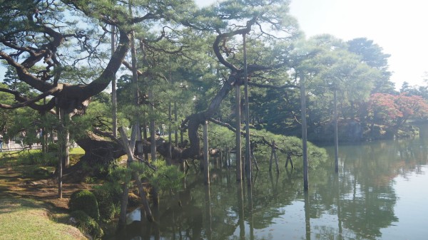 リンクラ・せーはす聖地巡礼2-2】兼六園【金沢】 : まいにちラブライブ！