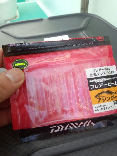 小湊より出船 コマセマダイ イサキ釣り 今日のいし君