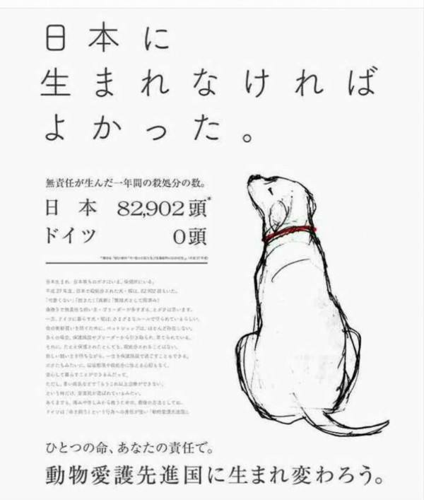 画像 犬 日本に生まれなければ良かった 動物愛護者が作った広告が物議 ゆるりと ひじきそくほう