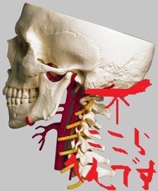 頭蓋底 とうがいてい をゆるめましょう 気功教室 通い日記
