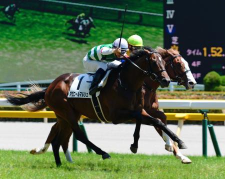 競馬 アヴニールマルシェが 藤沢厩舎 なのが本当に残念な件 うまなみ 競馬にゅーす速報