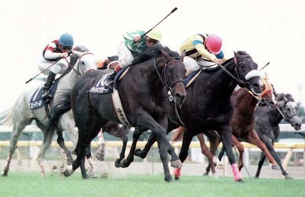 競馬 走り方がカッコイイ馬教えて うまなみ 競馬にゅーす速報