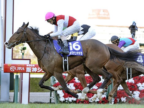 競馬 ショウナンアデラ またも骨折 全治は６か月 うまなみ 競馬にゅーす速報