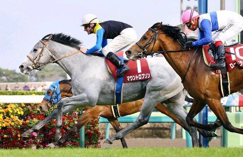 スプリングs マウントロブソン追い比べを制し重賞初制覇 皐月賞へ うまなみ 競馬にゅーす速報