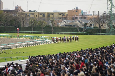 競馬 日本競馬史上の黒歴史と言えば うまなみ 競馬にゅーす速報