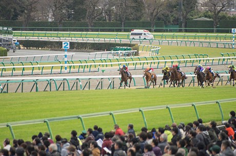 全く語り継がれないけど明らかに強かった馬 うまなみ 競馬にゅーす速報