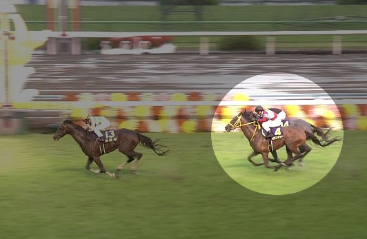 菊花賞 クリンチャーとポポカテペトル買えた奴 うまなみ 競馬にゅーす速報