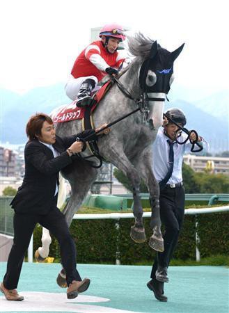 ゴールドシップさん ついに空中浮遊をマスターｗｗｗｗｗｗｗｗｗｗｗ うまなみ 競馬にゅーす速報